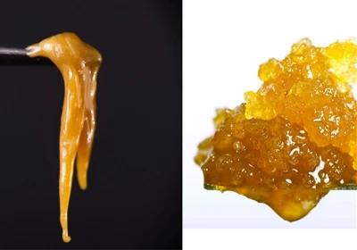 Live Resin vs. Live Rosin: ความแตกต่างคืออะไร?