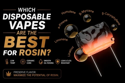 Vapes แบบใช้แล้วทิ้งใดที่ดีที่สุดสำหรับ Rosin?
